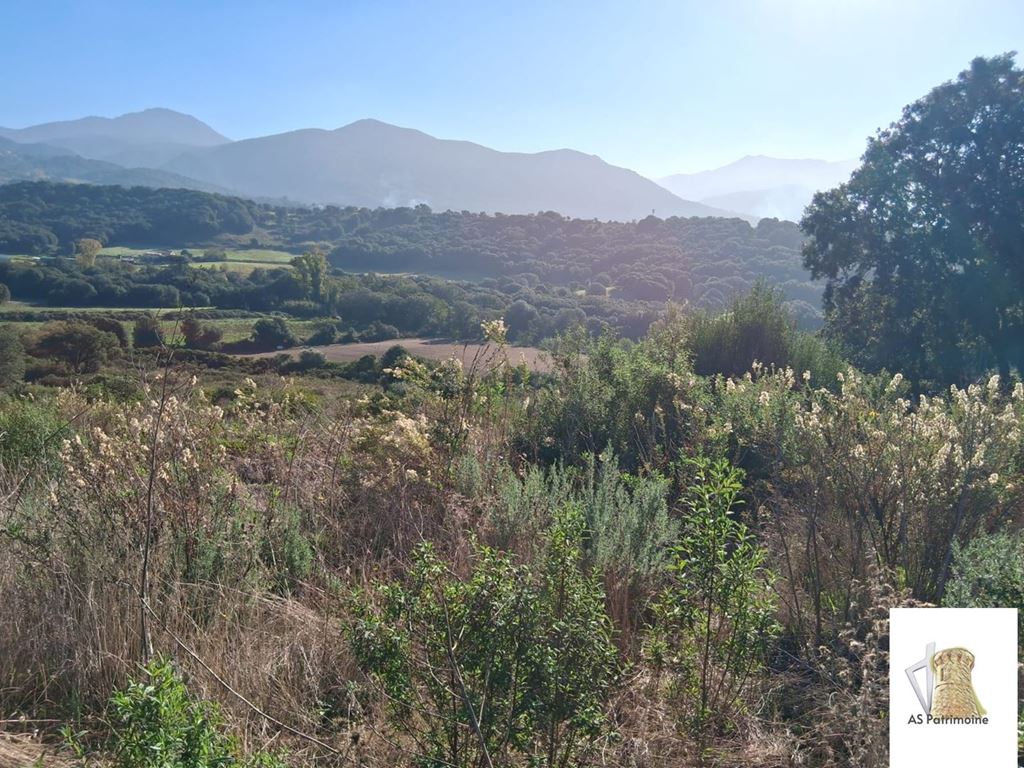 Maison de plain pied BASTELICACCIA 425000€ AS PATRIMOINE Maison de plain pied BASTELICACCIA 425000€ AS PATRIMOINE